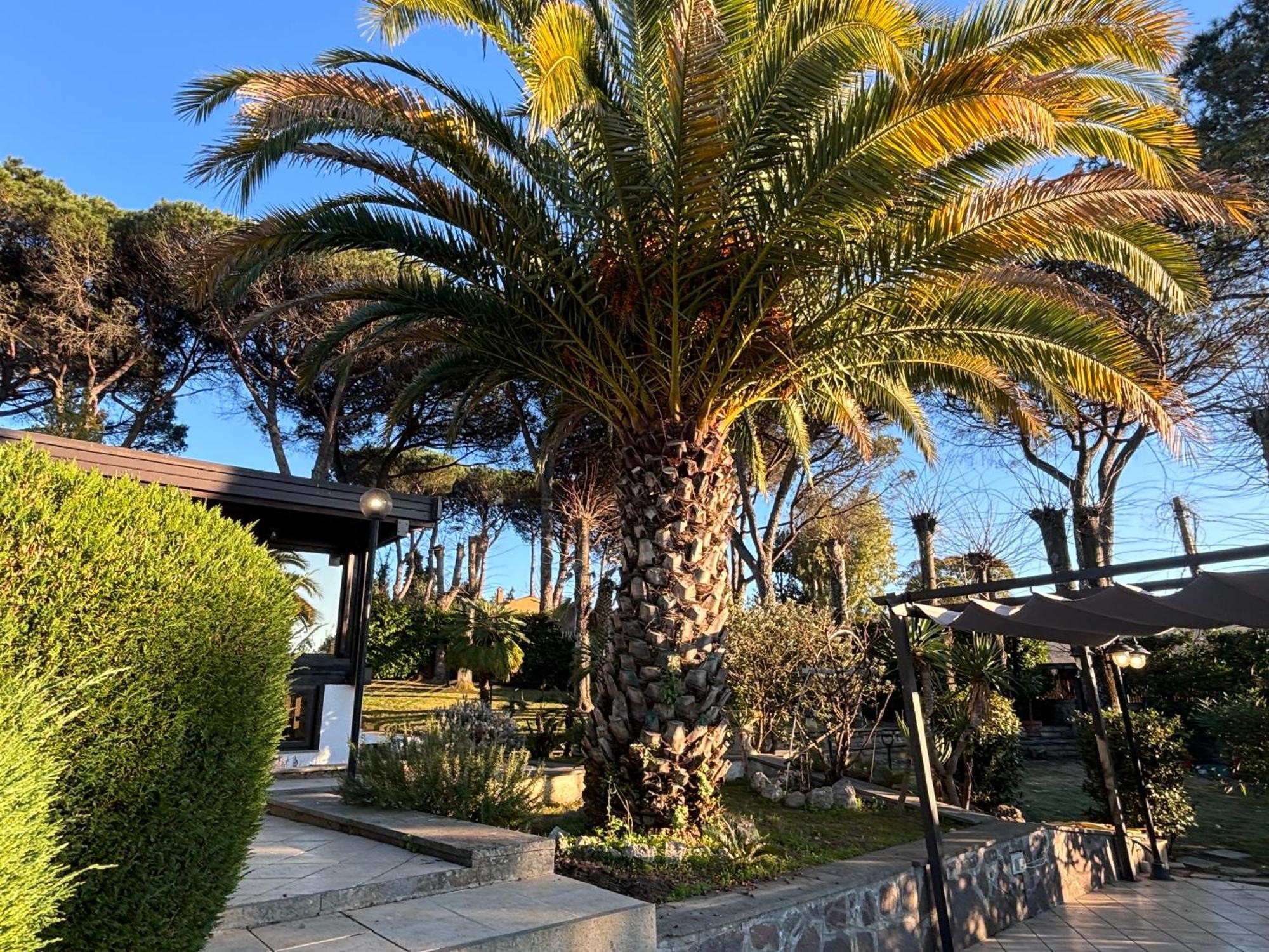 Villa Melita Gia Villa Marzia Campagnano Di Roma Ngoại thất bức ảnh