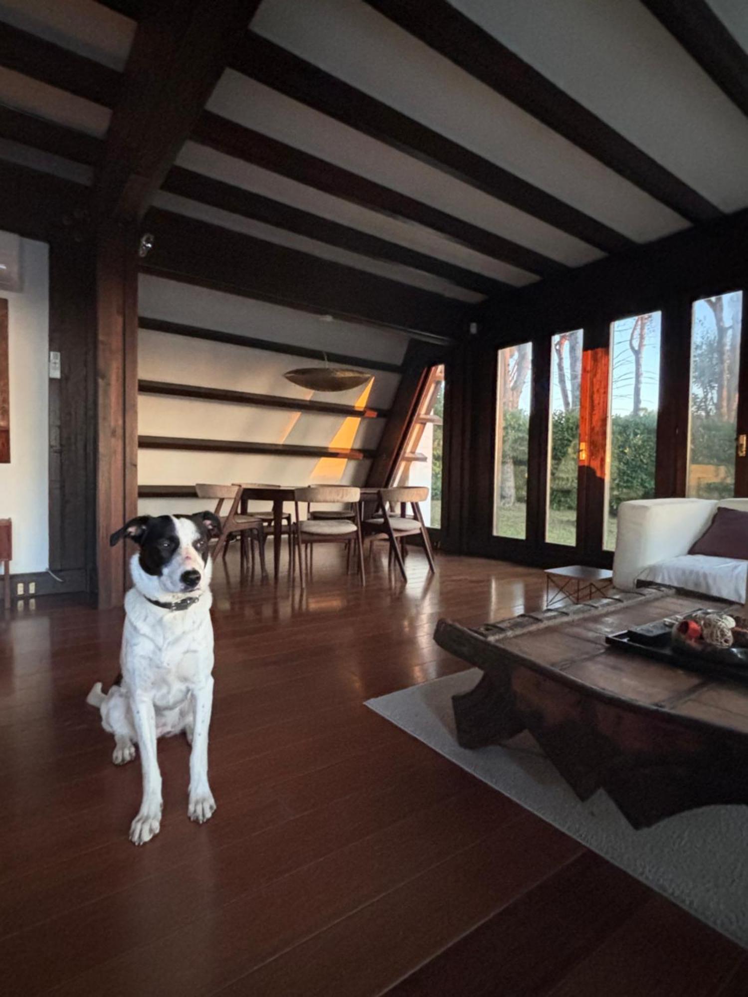 Villa Melita Gia Villa Marzia Campagnano Di Roma Ngoại thất bức ảnh
